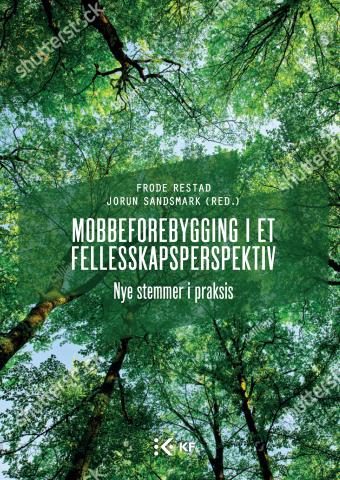 Mobbeforebygging i et fellesskapsperspektiv